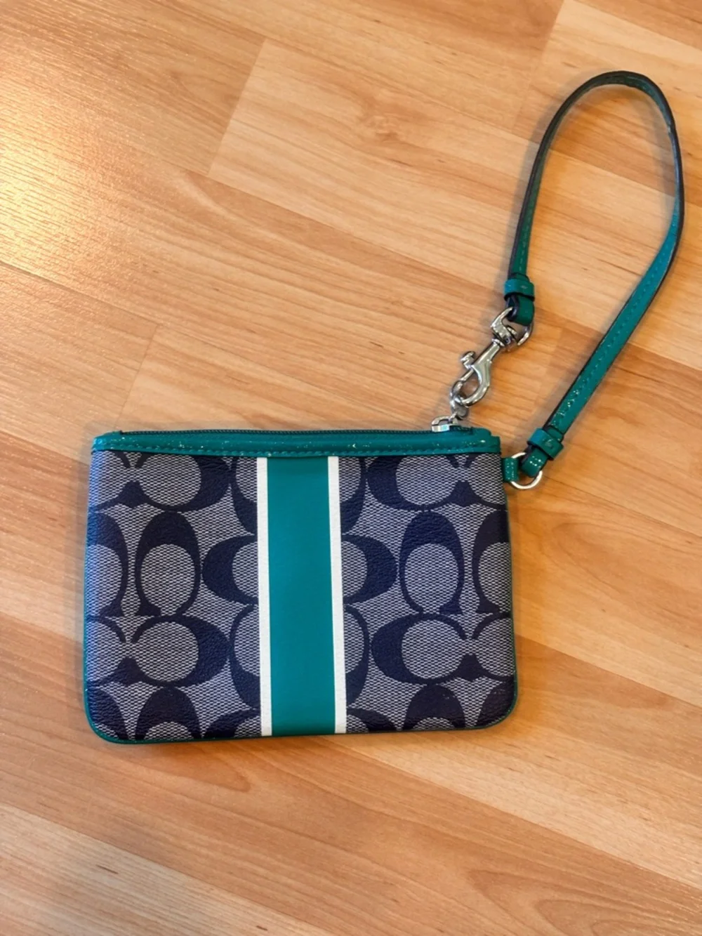 Coach Y2K  Wristlet in Teal and Navy